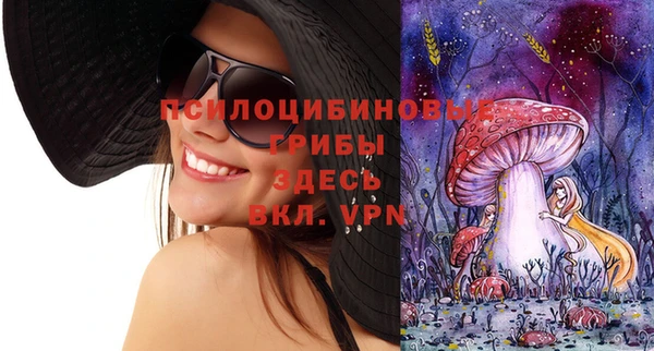 первитин Горнозаводск