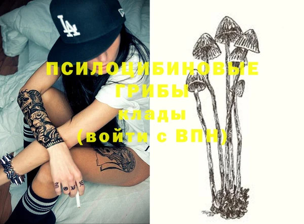 бутират Горно-Алтайск