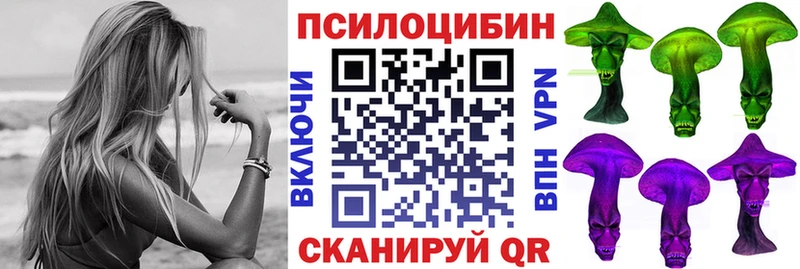 Псилоцибиновые грибы мухоморы  Купить закладки  Ленинск-Кузнецкий 